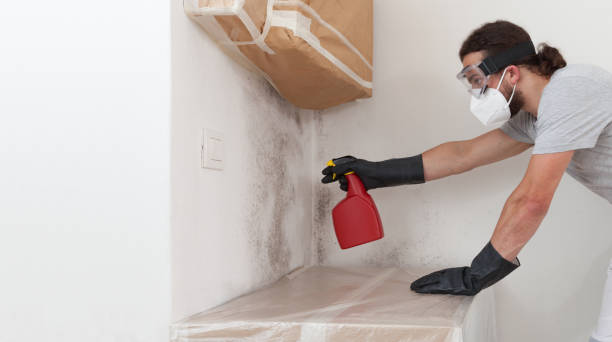 Professional Bathroom Mold Removal technician working in Aurora, CO